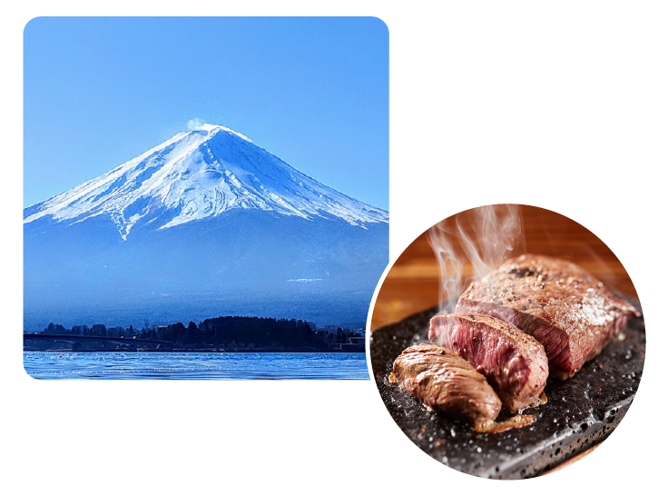 富士山の溶岩石を使用！